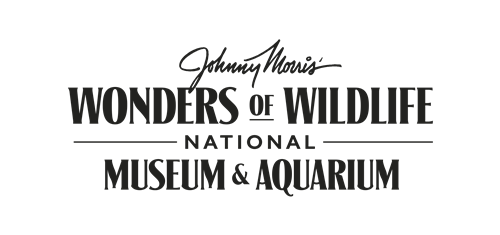 Wonders of Wildlife 